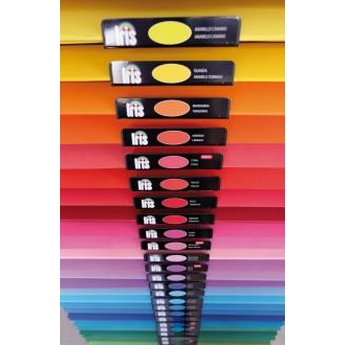 V6H7316170E7D49E802E76743BBF3CCE429R4242580P2