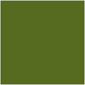 V6H997EEE0A58199726F5A9627721C44CECR5776951P1