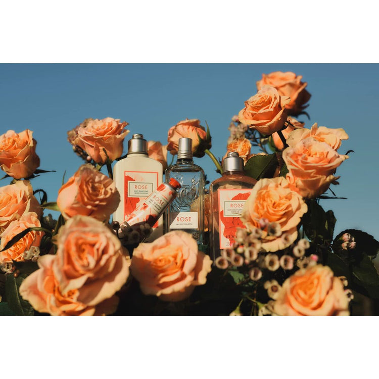 V3HF4E9702D33FC07B1FDC7A196151D891CR5608341P2