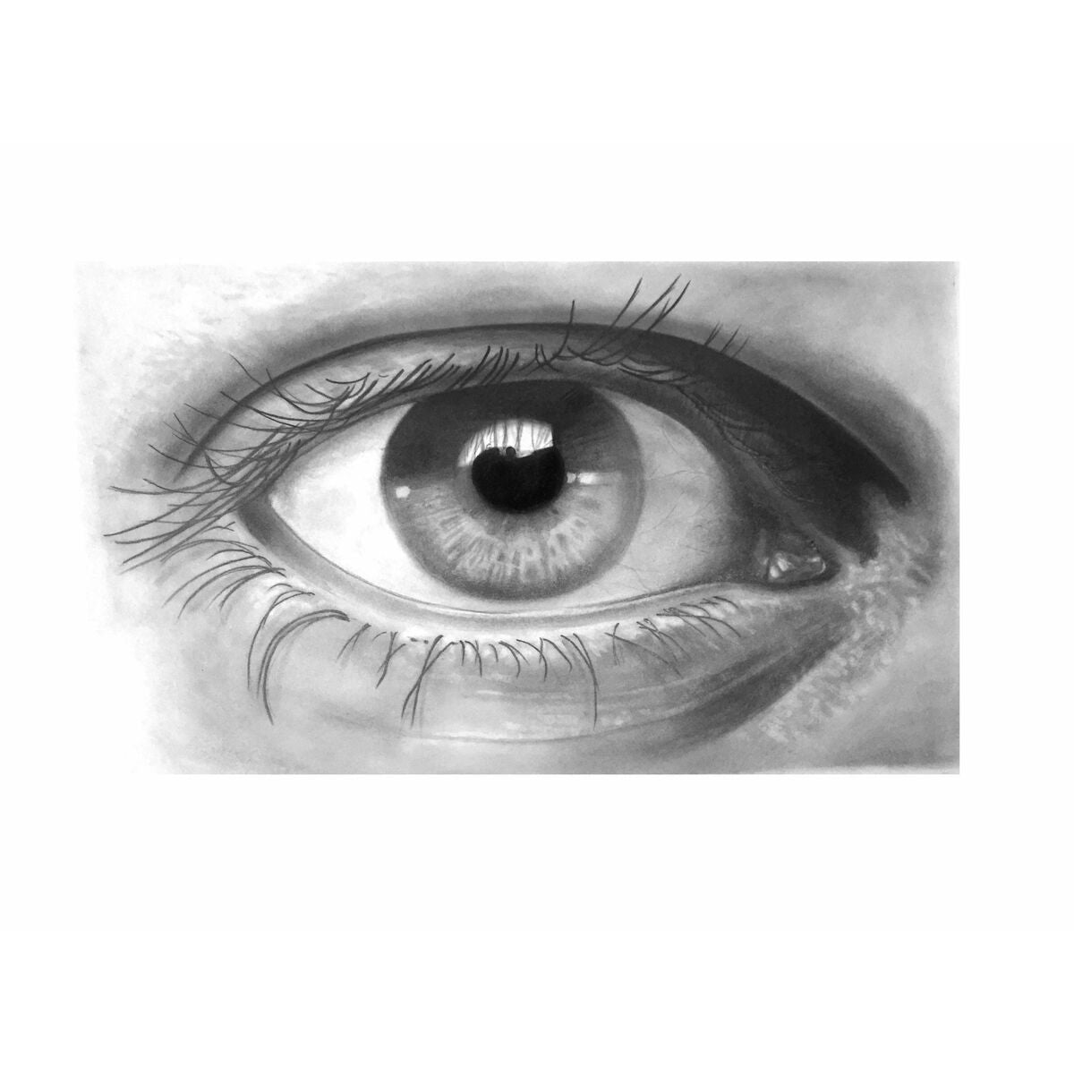 V4H2221B2C4484D195EAACB4DF4721F3154R4970912P6