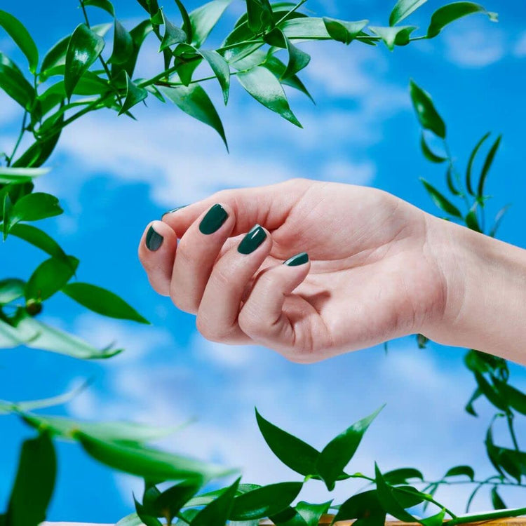 V4H3720E72DAA8A41E6B4808218BCEE900ER4549733P4