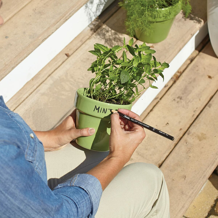 V9H144FD69905A89652F216B9BD4E9324AAR5849154P5